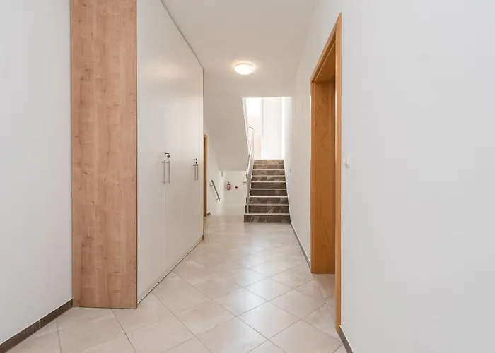 Petra S Bazenom, Rostiljem I Parkingom